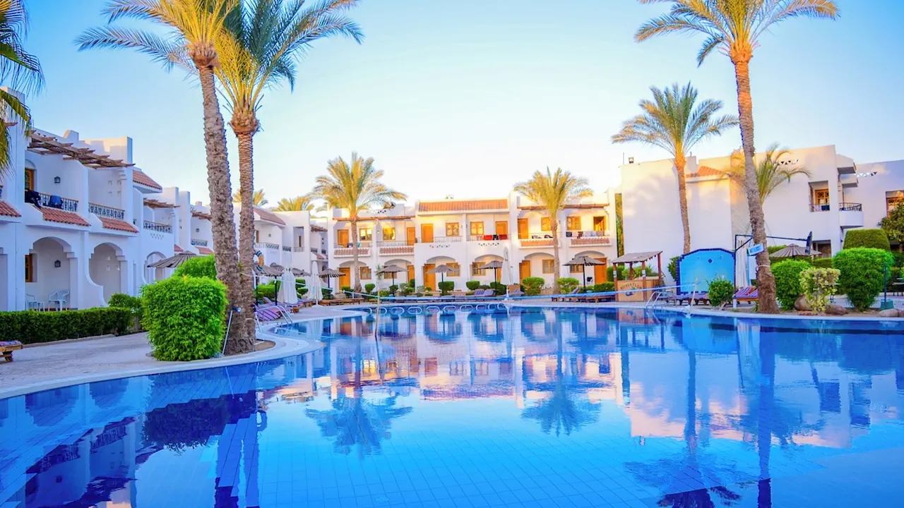 الفندق دايف ان ريزورت - شرم الشيخ